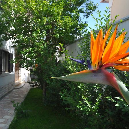 Manelisa Cascais Bed & Breakfast Exterior foto