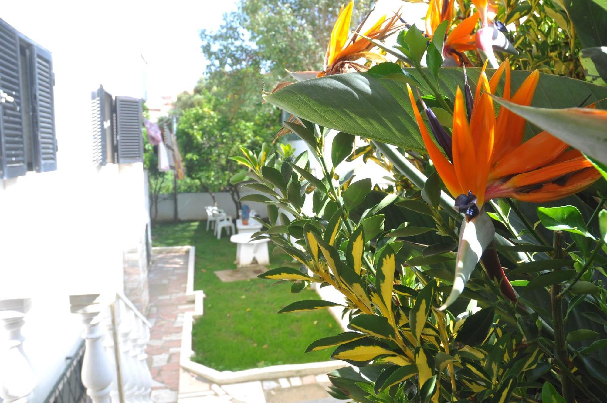 Manelisa Cascais Bed & Breakfast Exterior foto